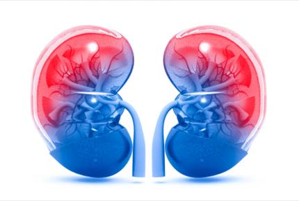 تقدیر سلامت از کلیه خوانندگان تقدیر سلامت از کلیه خوانندگان