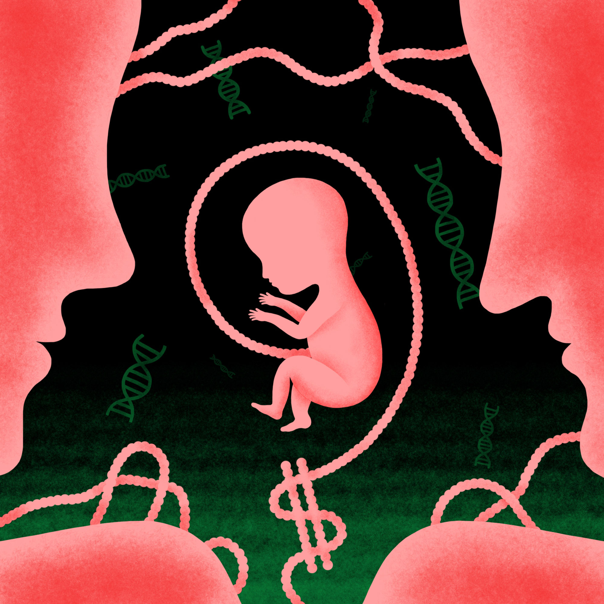 مشاوره ژنتیک قبل از بارداری