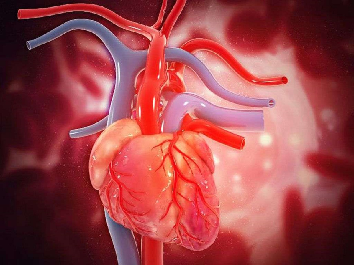 پیشگیری از بیماری های قلب- مجله مادر گوپی