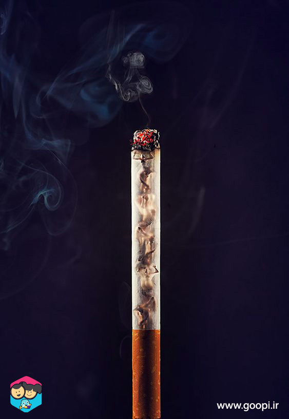 نقش سیگار در ابتلا به کرونا و درمان آن | مجله گوپی