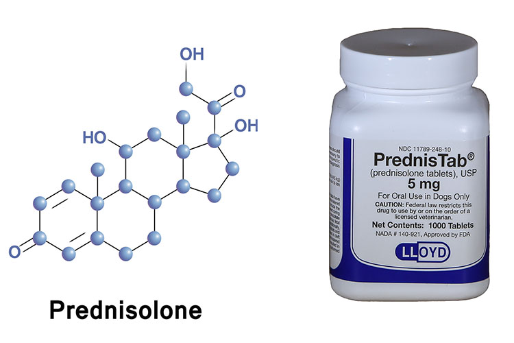 تاثیر درمانی پردنیزولون در مقایسه با اسیکلوویر و پردنیزولون در فلج بل | مجله گوپی