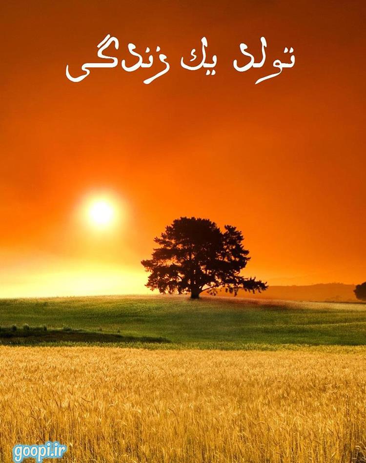 دانلود رایگان کتاب داستان تولد یک زندگی pdf _ مجله مادر و کودک گوپی