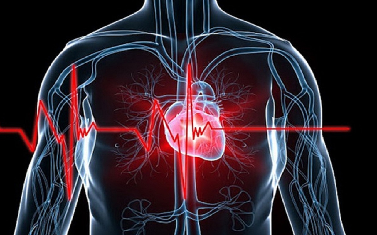 آشنایی با برخی از عوامل مؤثر در ایجاد بیماری قلبی عروقی- مجله مادر گوپی