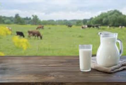 تشخیص و درمان آلرژی به شیرگاو در شیرخواران