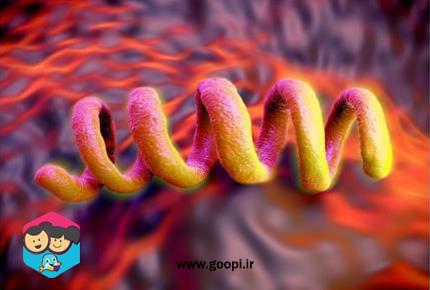 بیماری مقاربتی سیفلیس - مجله گوپی